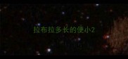 拉布拉多长的便小