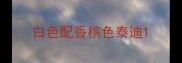 白色配香槟色泰迪