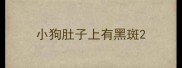 小狗肚子上有黑斑