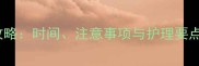 2个月边牧晒太阳全攻略时间注意事项与护理要点附科学晒太阳方法