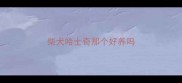 柴犬哈士奇那个好养吗
