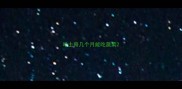 哈士奇几个月能吃蔬菜