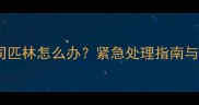 宠物误食阿司匹林怎么办紧急处理指南与预防措施全