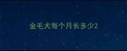 金毛犬每个月长多少