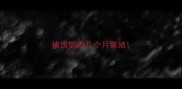 横斑鹦鹉几个月繁殖
