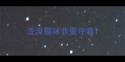 洗澡猫咪非要守着