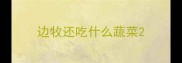 边牧还吃什么蔬菜
