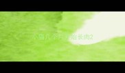 小猫几个月开始长肉
