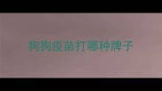 狗狗疫苗打哪种牌子