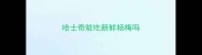 哈士奇能吃新鲜杨梅吗