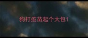 狗打疫苗起个大包