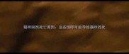 猫咪突然死亡原因这些惊吓可能导致猫咪猝死