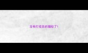 没有打疫苗的猫咬了