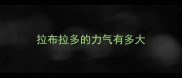 拉布拉多的力气有多大