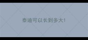 泰迪可以长到多大