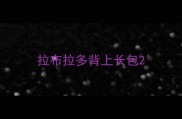 拉布拉多背上长包