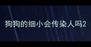 狗狗的细小会传染人吗
