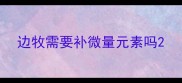 边牧需要补微量元素吗