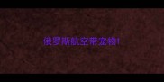 俄罗斯航空带宠物