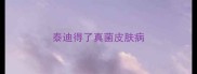 泰迪得了真菌皮肤病