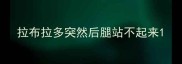 拉布拉多突然后腿站不起来