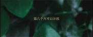猫几个月可以训练