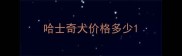 哈士奇犬价格多少