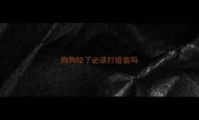 狗狗咬了必须打疫苗吗