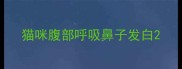 猫咪腹部呼吸鼻子发白