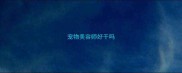 宠物美容师好干吗