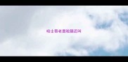 哈士奇老是咬腿还叫