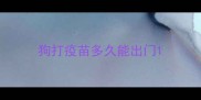 狗打疫苗多久能出门