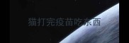 猫打完疫苗吃东西