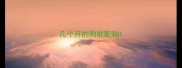 几个月的狗能配狗