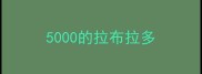 5000的拉布拉多