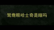 鸳鸯眼哈士奇是瞎吗