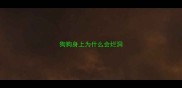狗狗身上为什么会烂洞