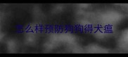 怎么样预防狗狗得犬瘟