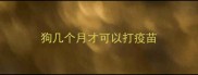 狗几个月才可以打疫苗