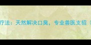 猫咪口臭的7个家庭疗法天然解决口臭专业兽医支招附日常护理指南