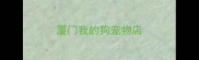 厦门我的狗宠物店