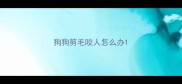 狗狗剪毛咬人怎么办