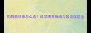 狗狗磨牙棒怎么选科学喂养指南与常见误区全