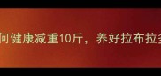 科学方法如何健康减重10斤养好拉布拉多必看全攻略