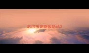 武汉市宠物救助站