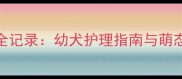哈士奇2月龄成长全记录幼犬护理指南与萌态百出的可爱瞬间