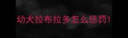 幼犬拉布拉多怎么惩罚