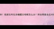 救命我家拉布拉多睡醒总咳嗽怎么办附全网最全应对指南