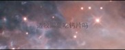 边牧需要吃钙片吗