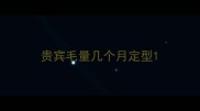 贵宾毛量几个月定型